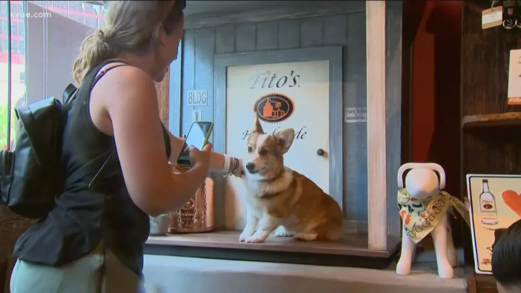 Tito's and Responsible Pet Ownership: Advocacy and Education