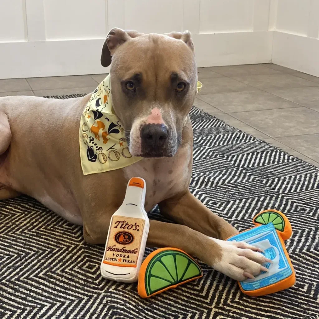 Tito's Vodka and Dog Rescue: A Perfect Blend