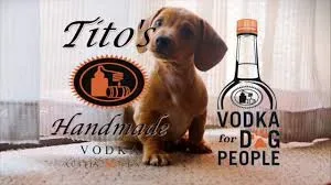  Tito's Handmade Vodka is for Dog Lovers